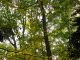 img0024.jpg