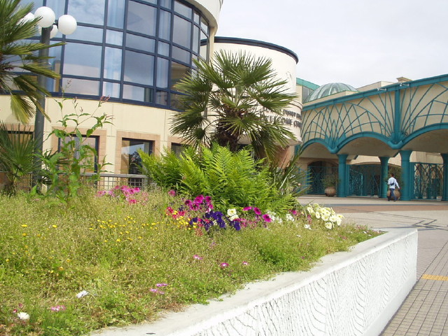 img0002.jpg