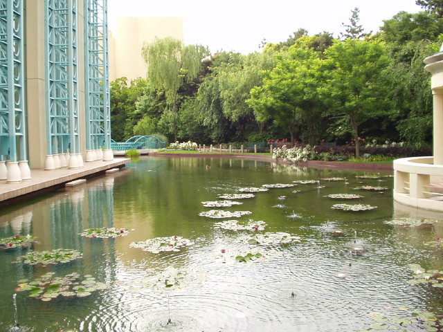 img0040.jpg