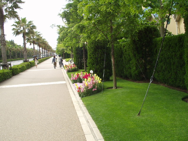 img0047.jpg