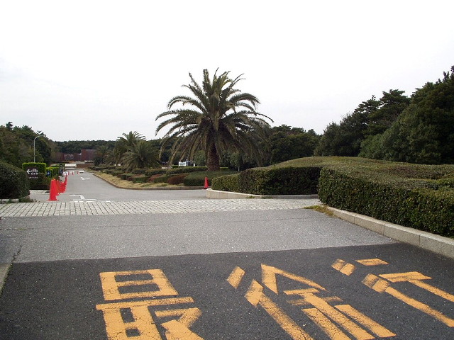 img0005.jpg