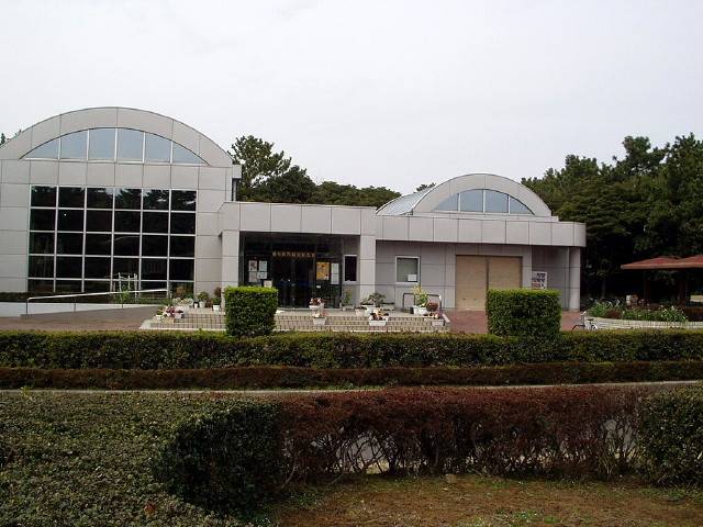 img0008.jpg