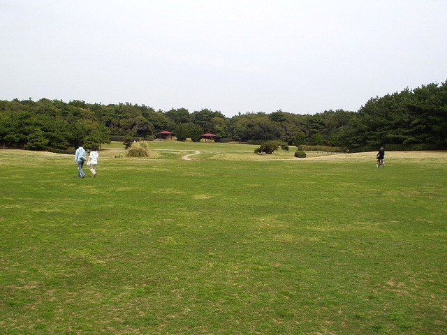 img0014.jpg