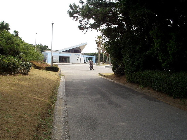 img0019.jpg