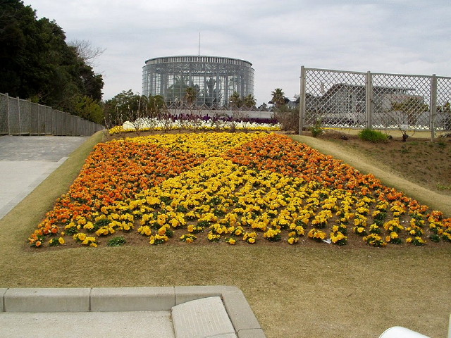 img0031.jpg