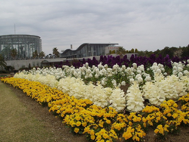 img0033.jpg