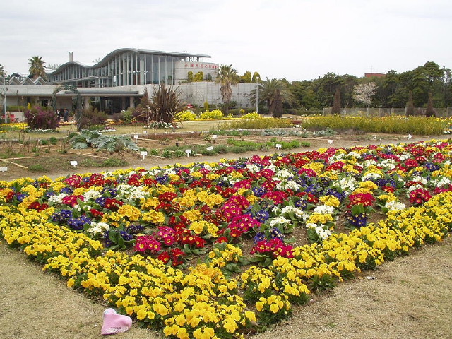 img0034.jpg