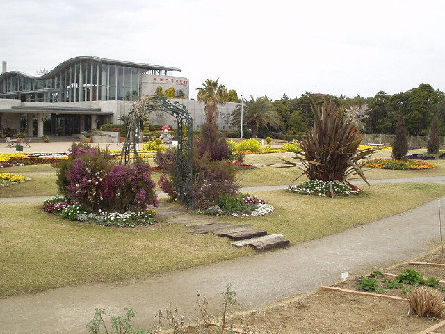img0035.jpg
