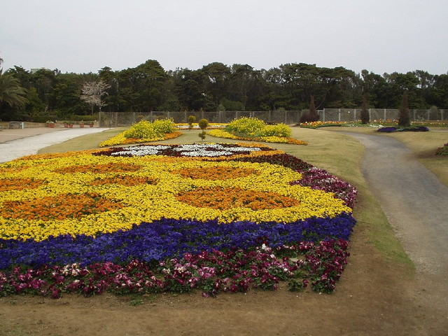 img0036.jpg