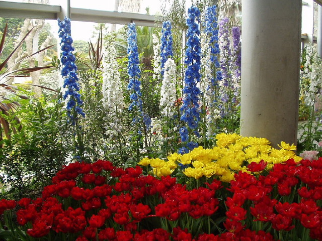img0039.jpg