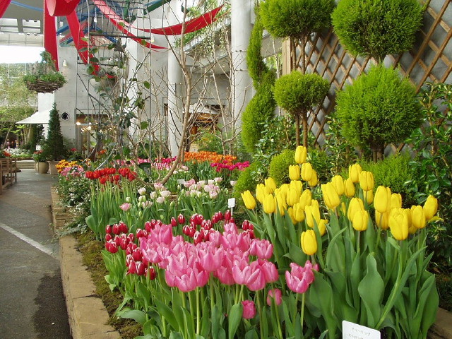 img0040.jpg