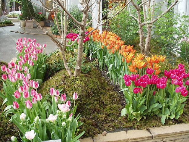 img0041.jpg