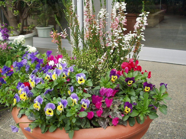 img0043.jpg
