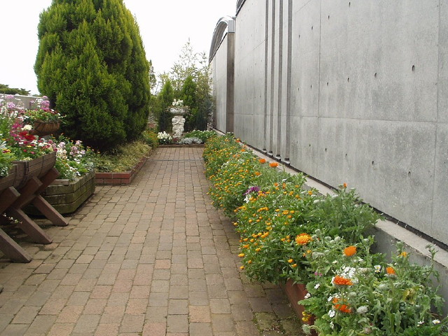img0049.jpg