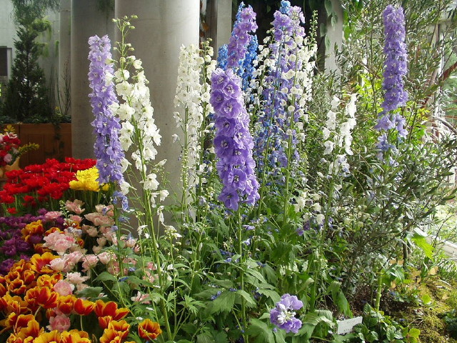 img0051.jpg