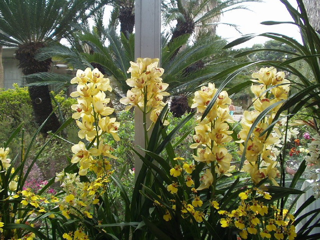 img0052.jpg