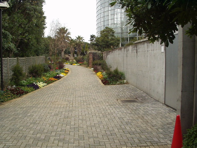 img0056.jpg