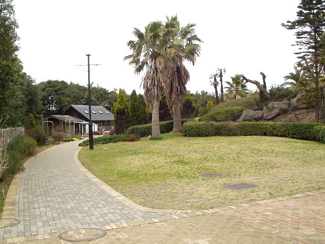 img0059.jpg
