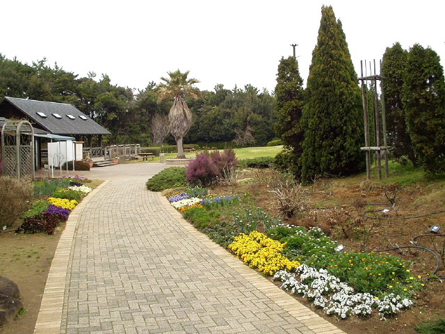 img0060.jpg