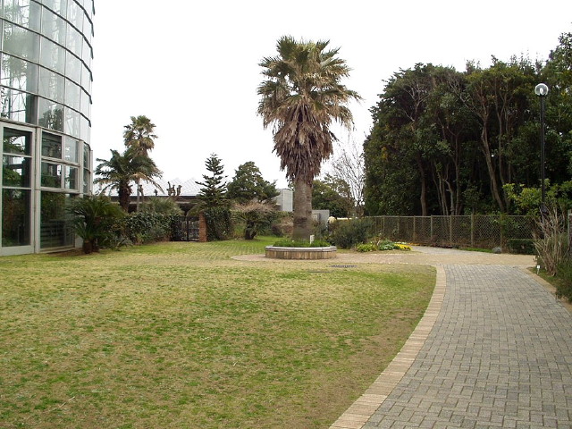 img0061.jpg
