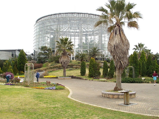 img0062.jpg
