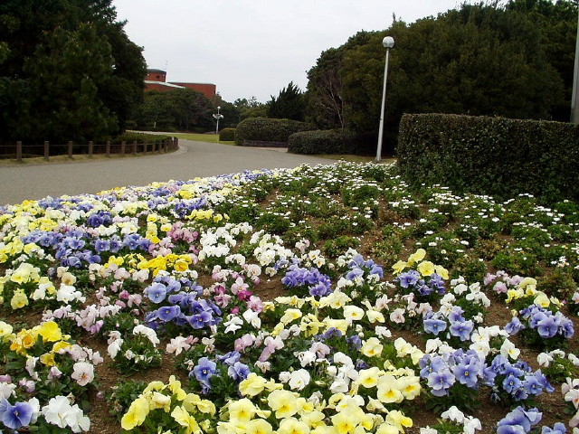 img0064.jpg