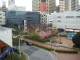 img0002.jpg