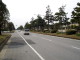 img0004.jpg