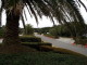 img0006.jpg