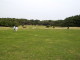 img0014.jpg