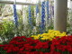 img0039.jpg