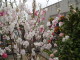 img0042.jpg