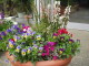 img0043.jpg