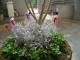 img0046.jpg