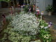 img0047.jpg