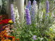 img0051.jpg