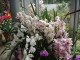 img0053.jpg