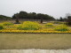 img0055.jpg