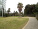 img0061.jpg