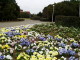 img0064.jpg