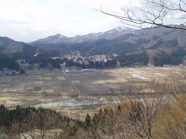 img0005.jpg