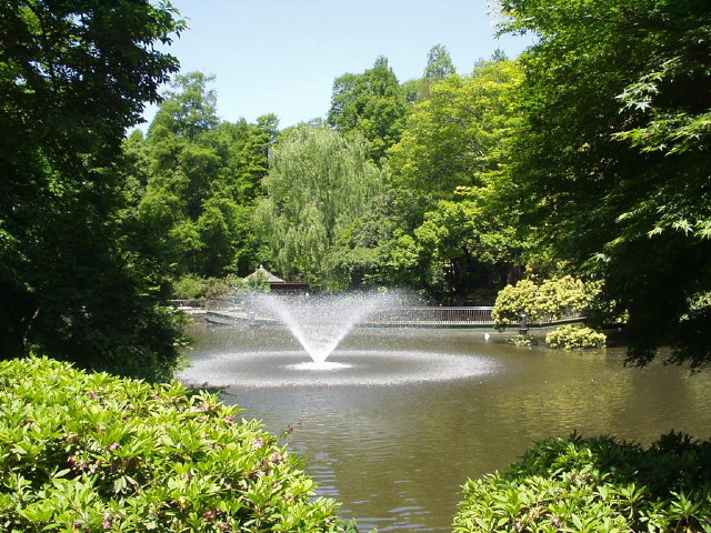 img0001.jpg
