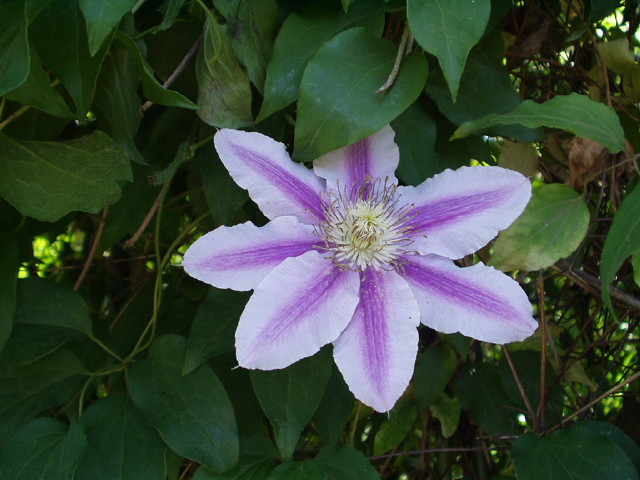 img0004.jpg