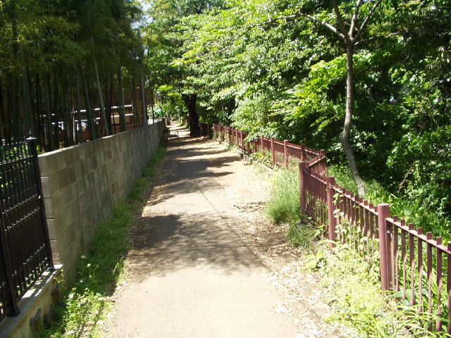 img0006.jpg