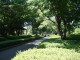img0008.jpg