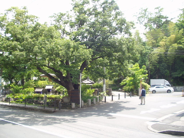 img0000.jpg