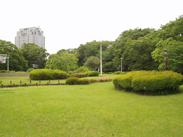 img0019.jpg
