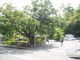 img0000.jpg