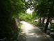 img0001.jpg