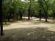 img0004.jpg